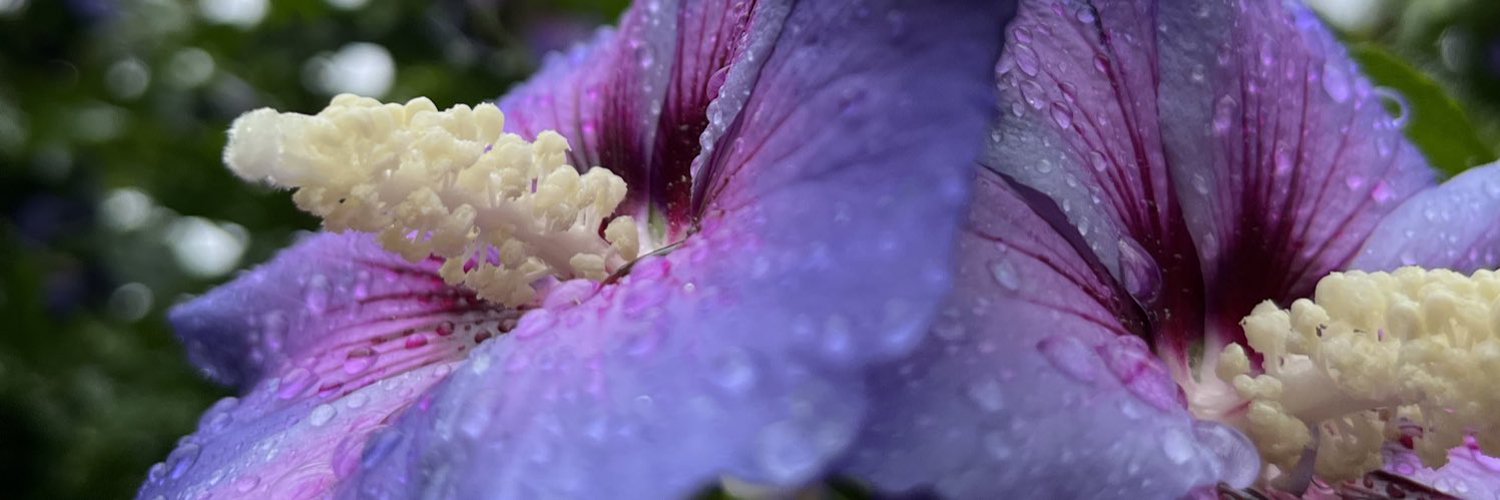 defund the police photo