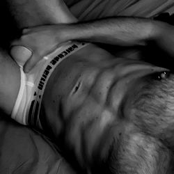 North, the Kinkster photo