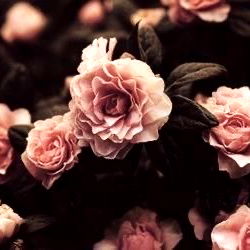 Sinclipse ๐ค photo