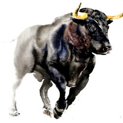 Stretch You Out photo