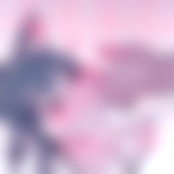 Cynthia elfin สโกษ photo