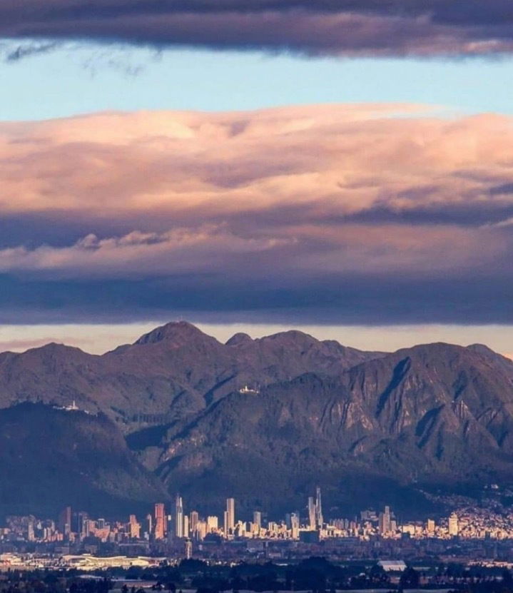 Andrew Williamson photo