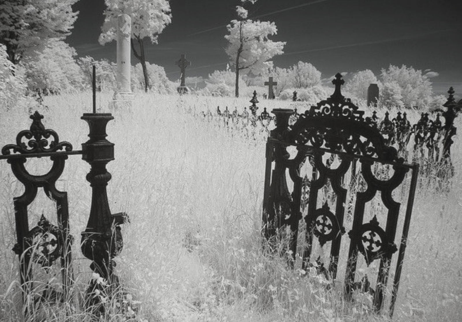 ʚ𝓐𝓷𝓰𝓮𝓵 ɞ photo