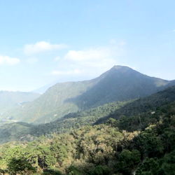 Little e, an OnlyFans model from England