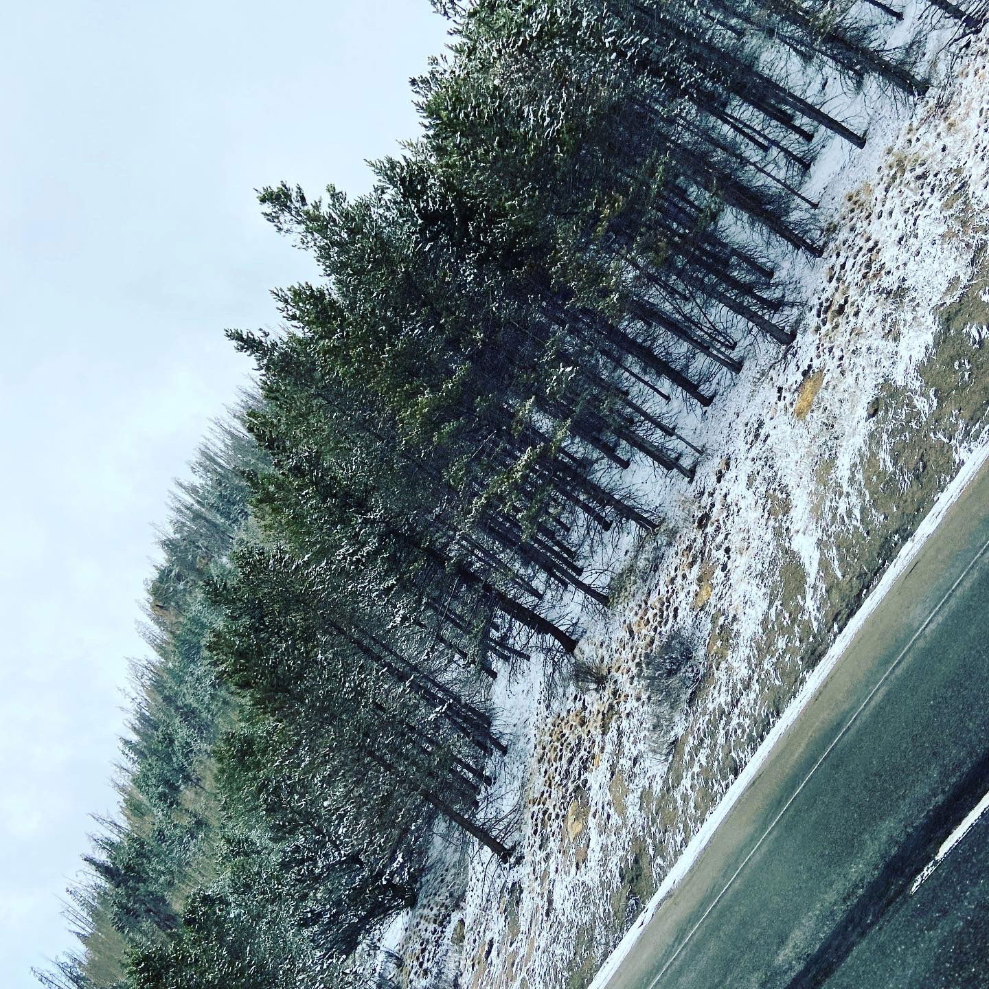 C.S Anthony &amp; Marie photo