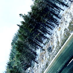 C.S Anthony &amp; Marie photo