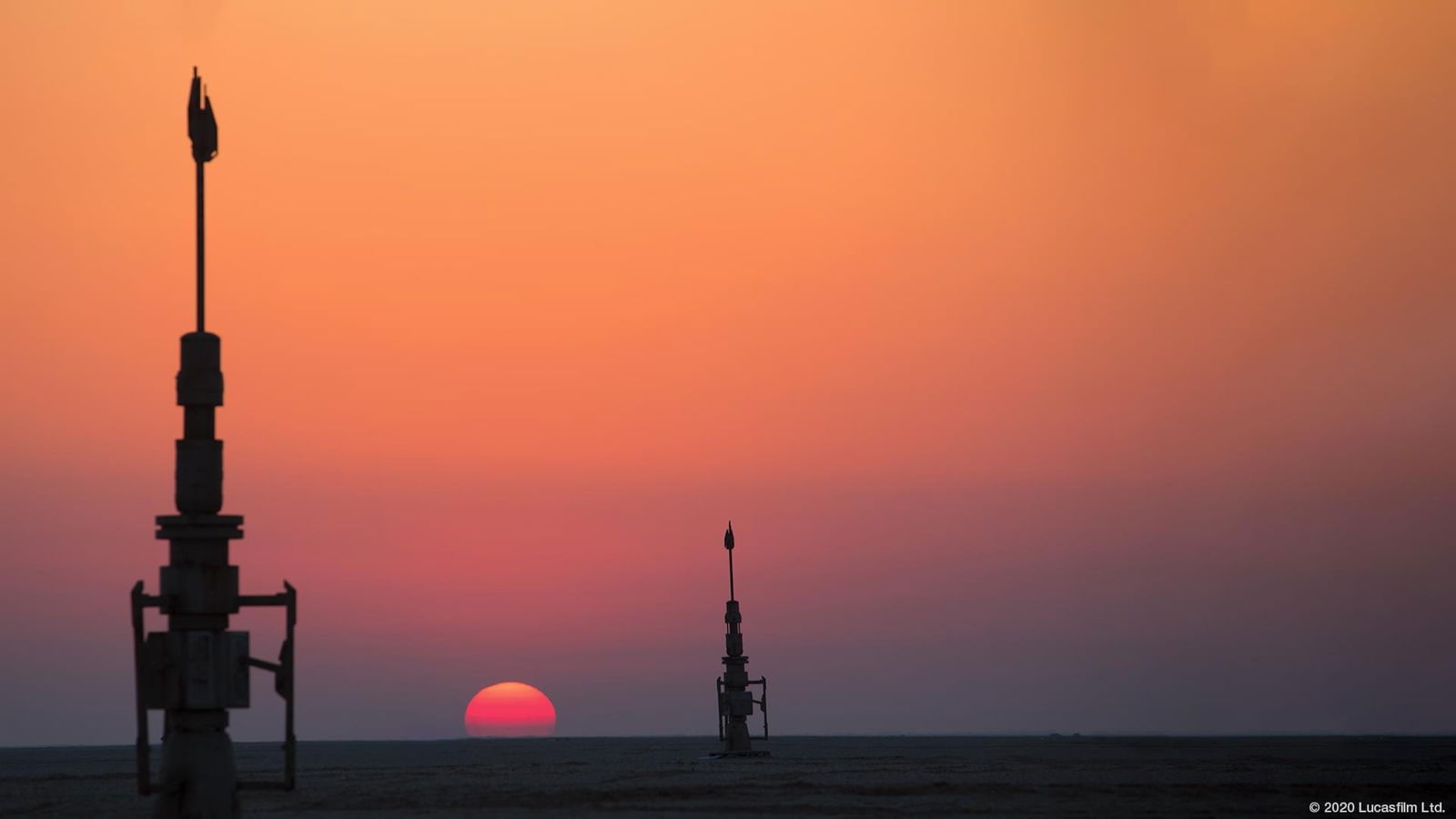 jennifer black photo