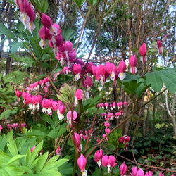 ํ ๋ผ ๐ฐ photo