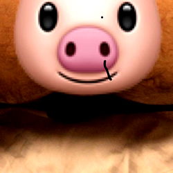 LA Bearded Cum Dump photo