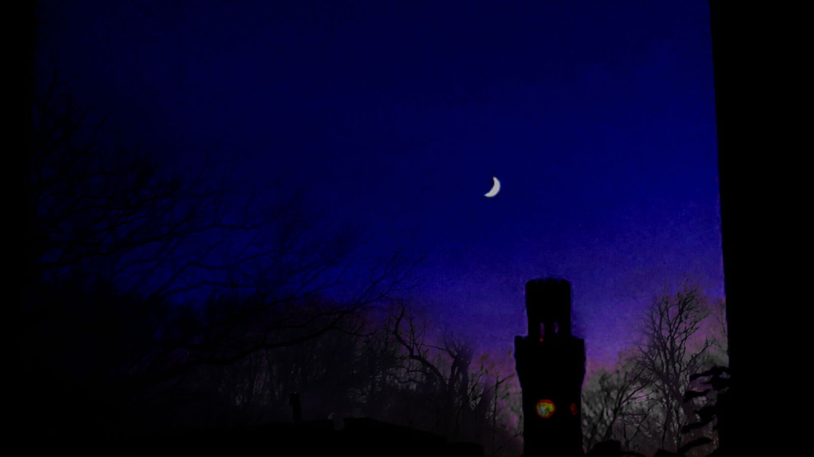 Allure's Dark Forest photo