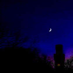 Allure's Dark Forest photo