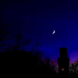 Allure's Dark Forest photo