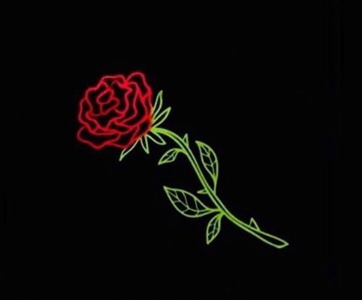 Taste of PortFection 🖌️ photo