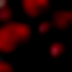 Taste of PortFection ๐๏ธ photo