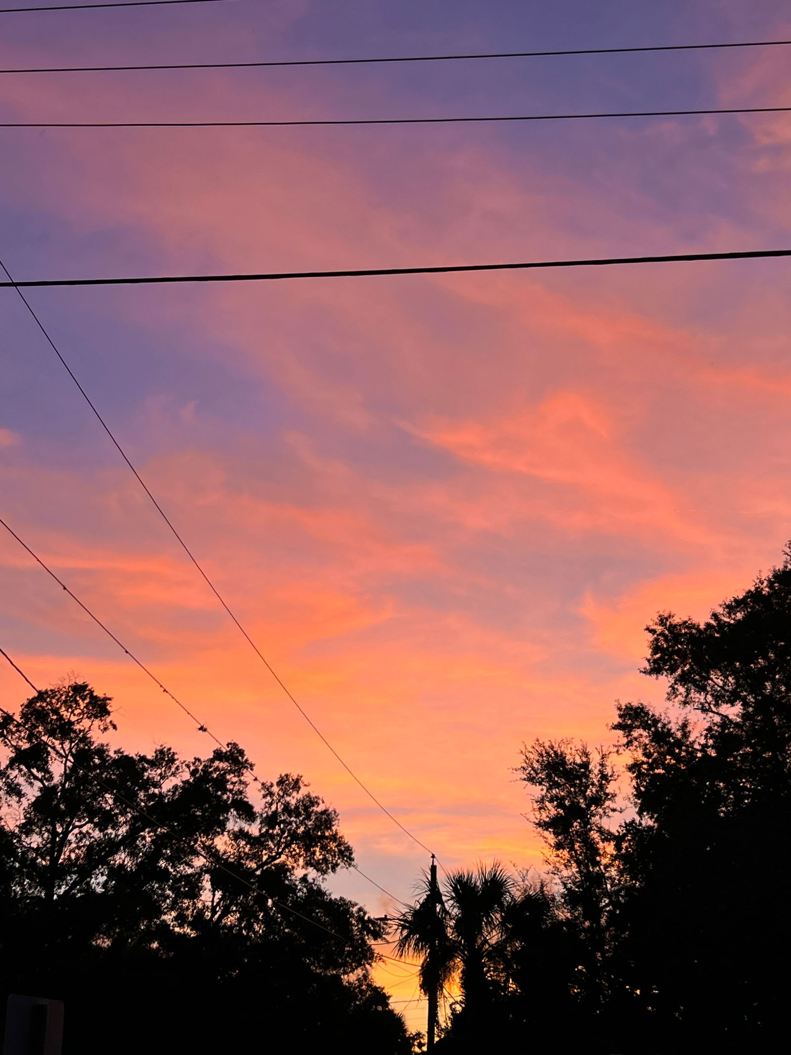 Taste of PortFection 🖌️ photo