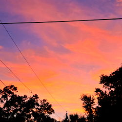 Taste of PortFection ๐๏ธ photo