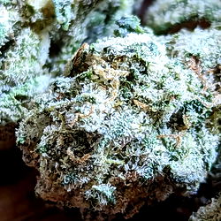 Nomadwithabooty photo