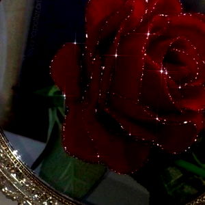 Alivia Elle ๐ค photo