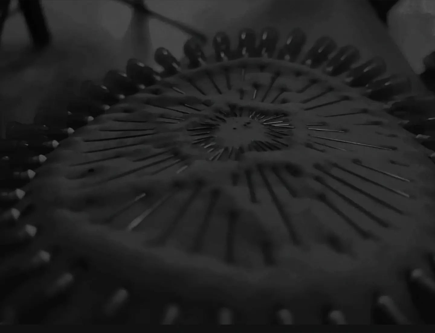 Abbie 🤍✨️ photo