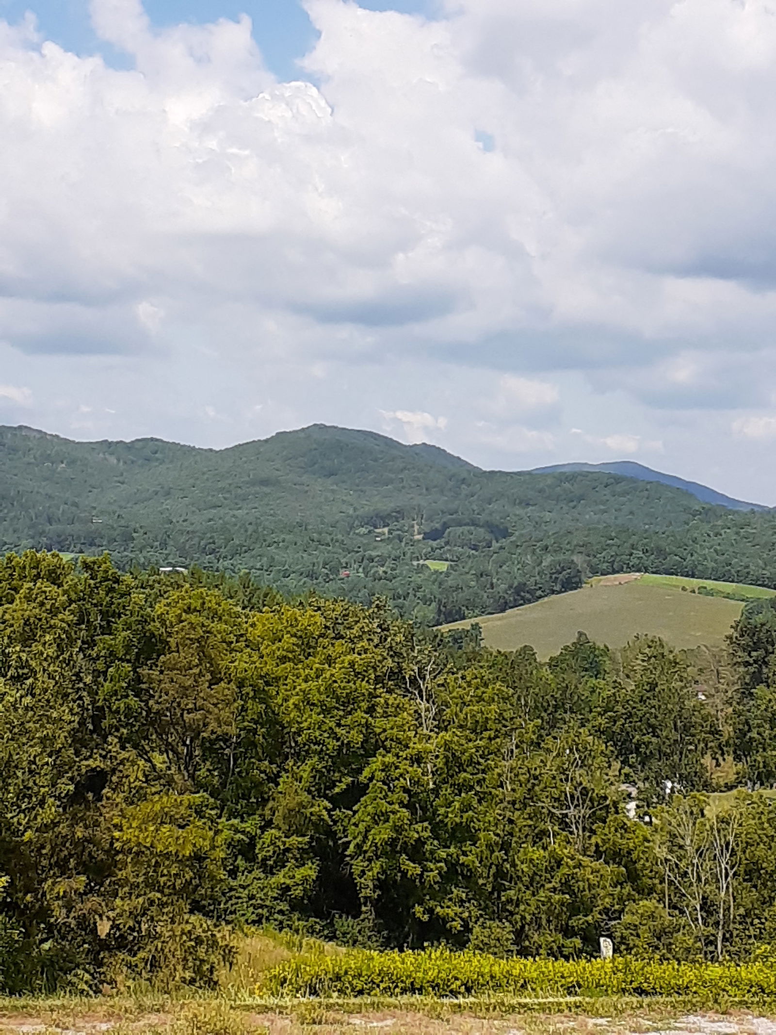 Miss Pole Dancer photo