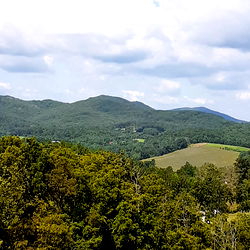 Miss Pole Dancer photo