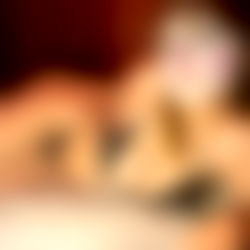 โข Harlequin Starr! โบ๏น โฅ๏ธโฃ๏ธ photo