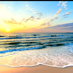 Daniel Morales photo