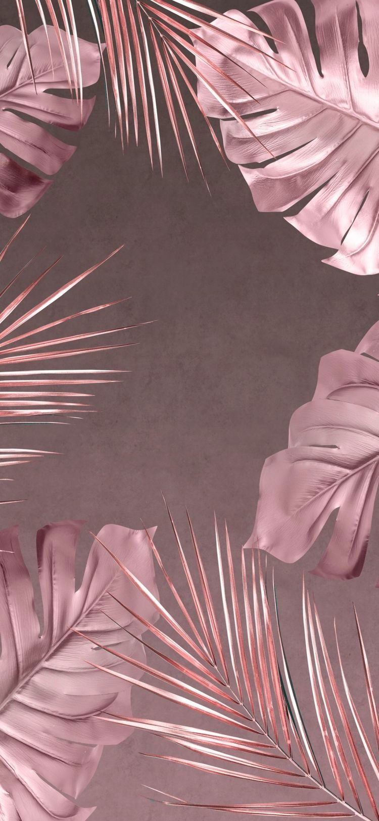 Angelica Rodriguez photo