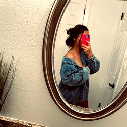 Person taking a mirror selfie in a room