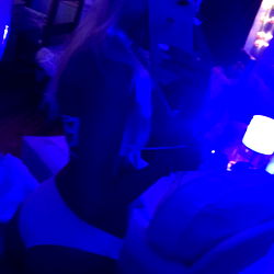 Indiana Jones, the adventure continues