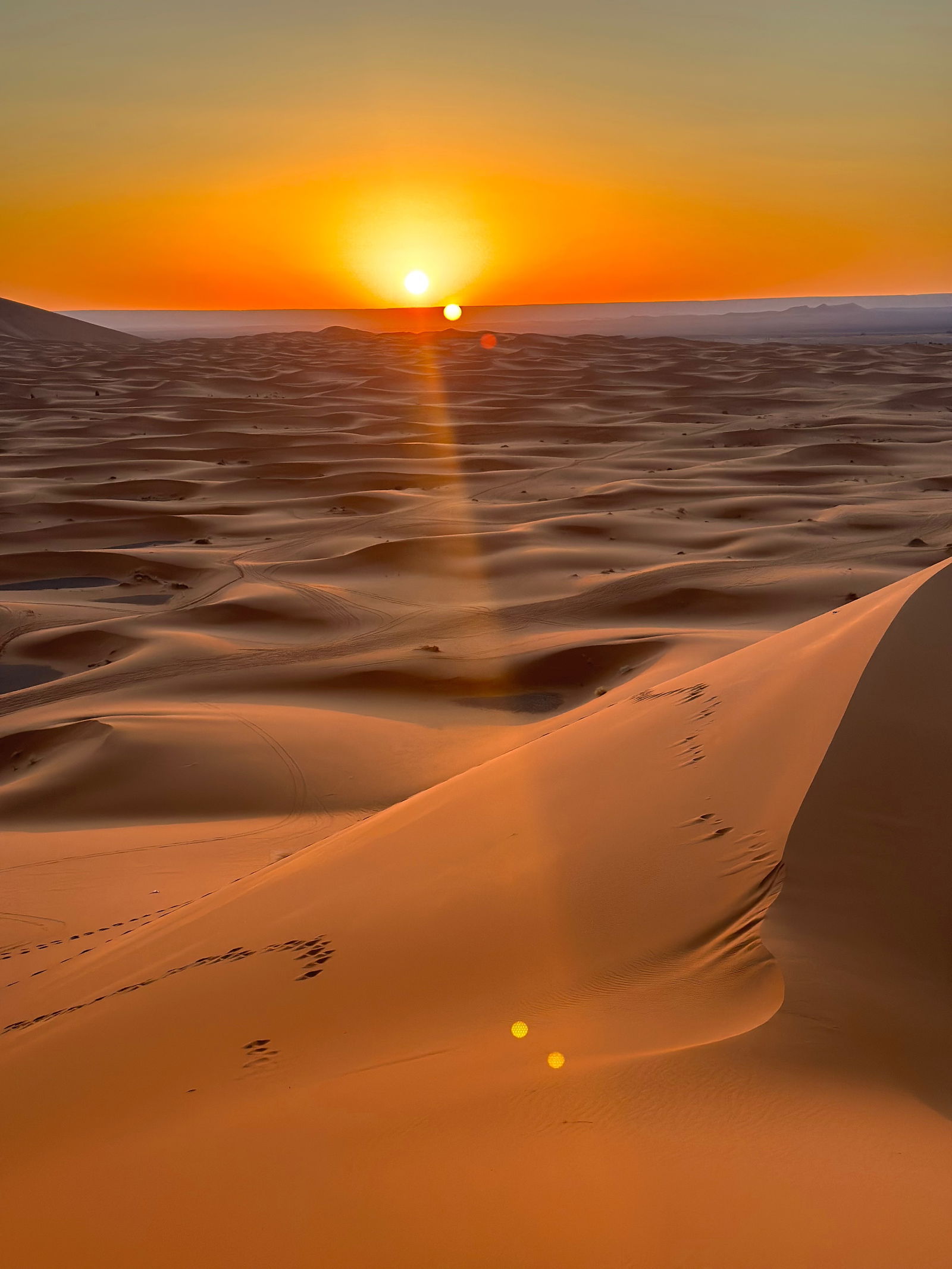 Alondra Suarez photo