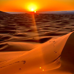 Alondra Suarez photo