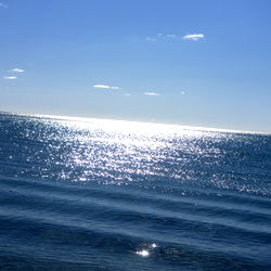 ๐๐Tavra Thorne๐๐ photo