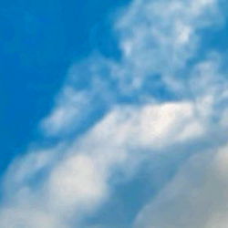 Andres Ordoñez photo