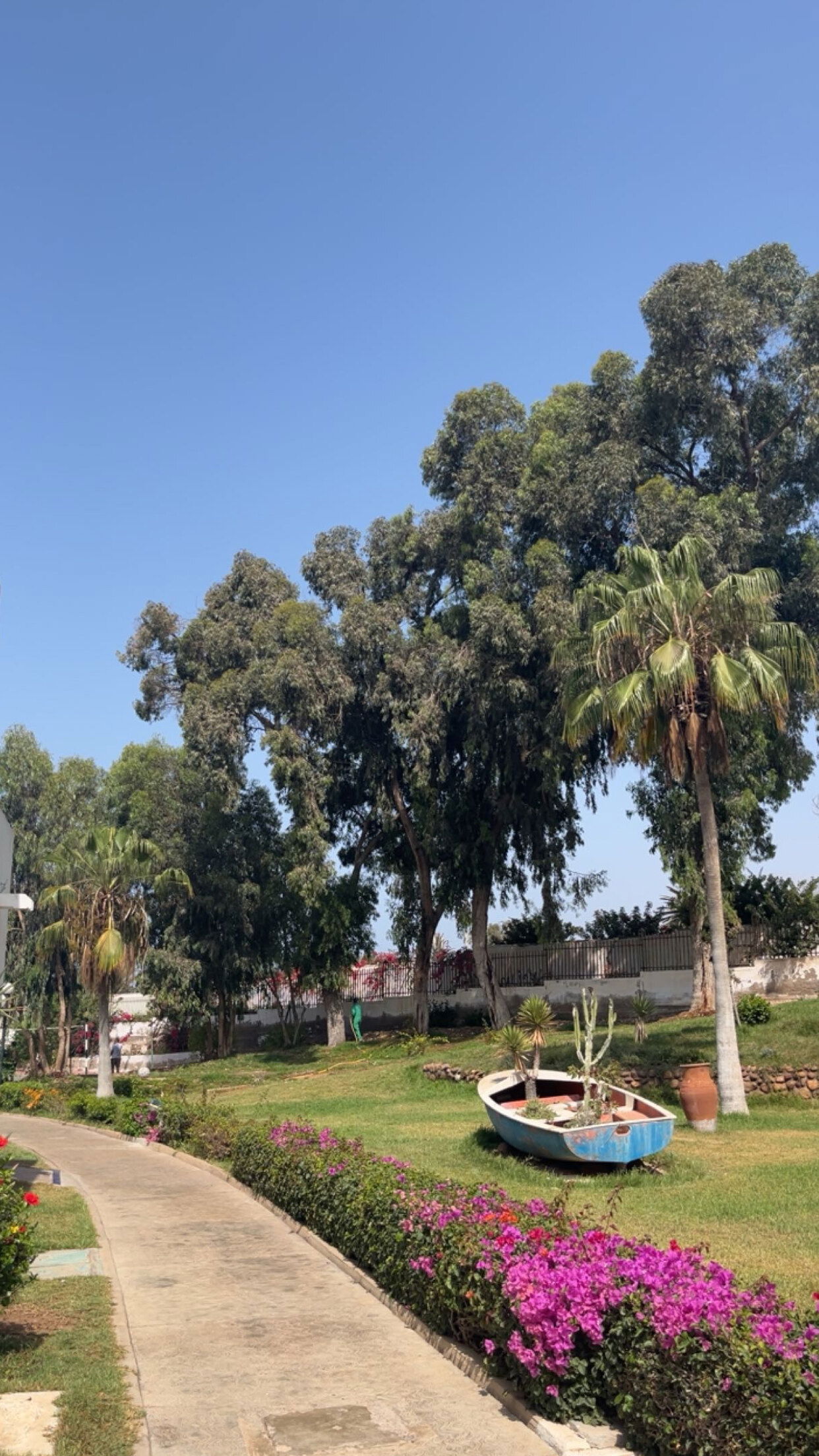 offlineszn😈 photo