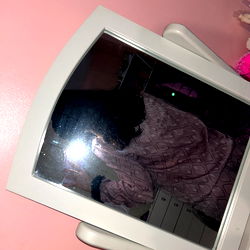 Woman in Bedroom Mirror