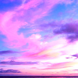 Demian Censori photo