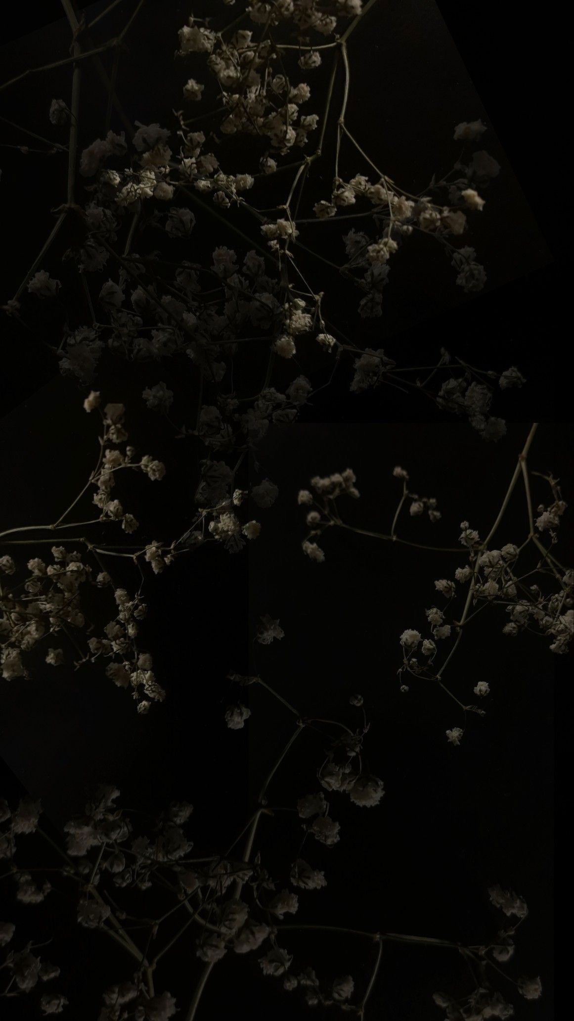 Fae_Feet🧚🏼‍♀️ photo