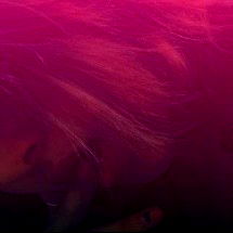 OnlyFans Model CAKE$ in a Purple-Tinted Photo