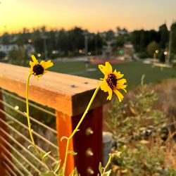 A l b a ๐ฉต photo