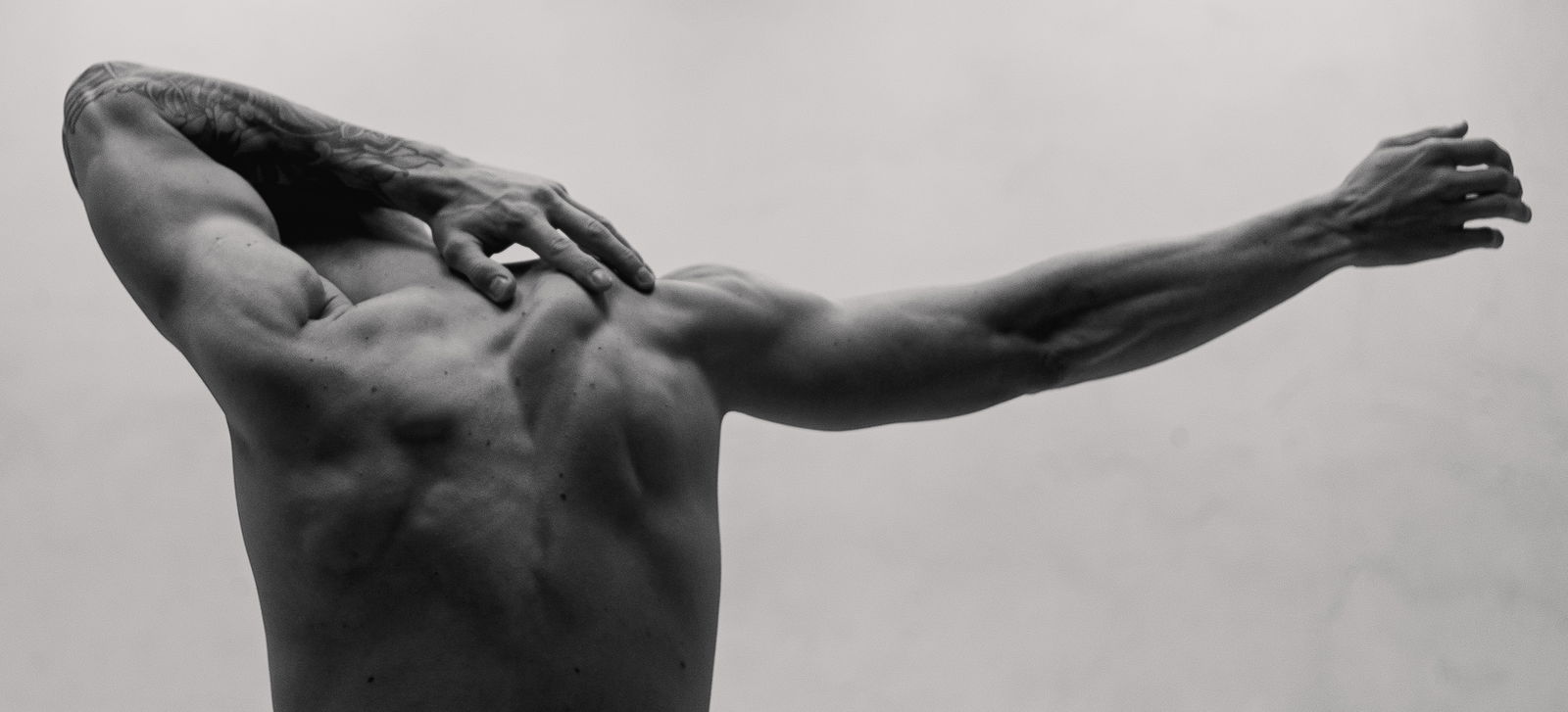 novakivskiy 🦖 photo