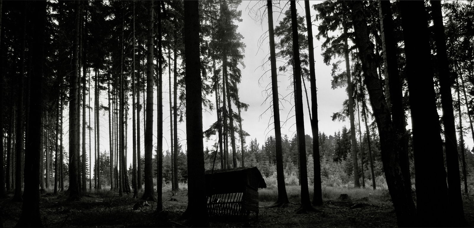 ɢ ʀ ᴇ ᴇ ᴅ  🥷🏼 photo