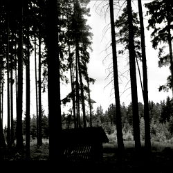 ษข ส แด แด แด
๐ฅท๐ผ photo