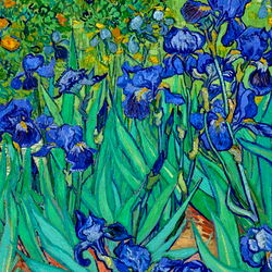 Vincent, ur big tiddy alt bf 🖤 photo