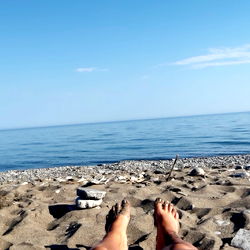 Chevy Princess photo