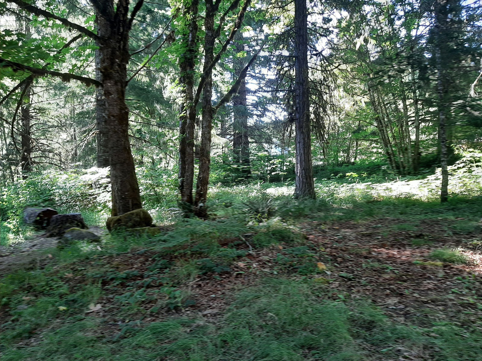 PrincessTess🔥 photo