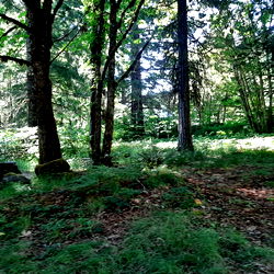 PrincessTess🔥 photo