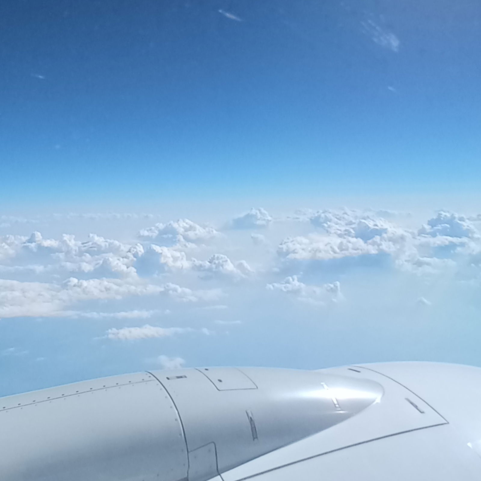 Andreea Barcan photo