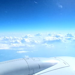 Andreea Barcan photo