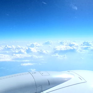 Andreea Barcan photo